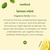 Method Lemon Mint Scent Foam Hand Wash 10 oz 01162